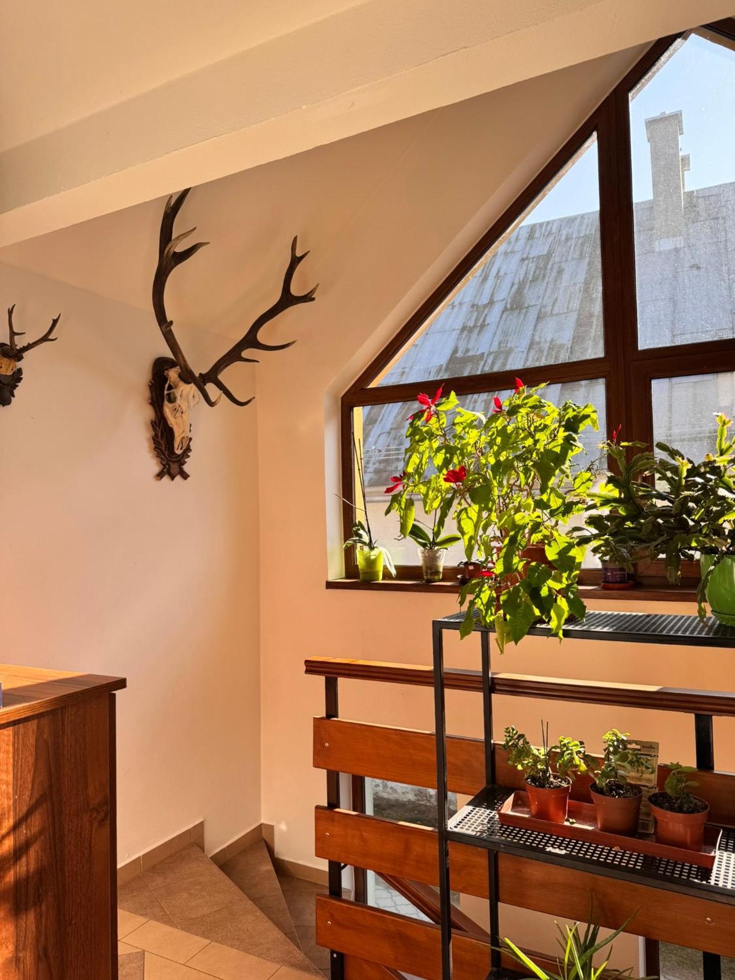 Apartmany Kenka Spisska Stara Ves Esterno foto