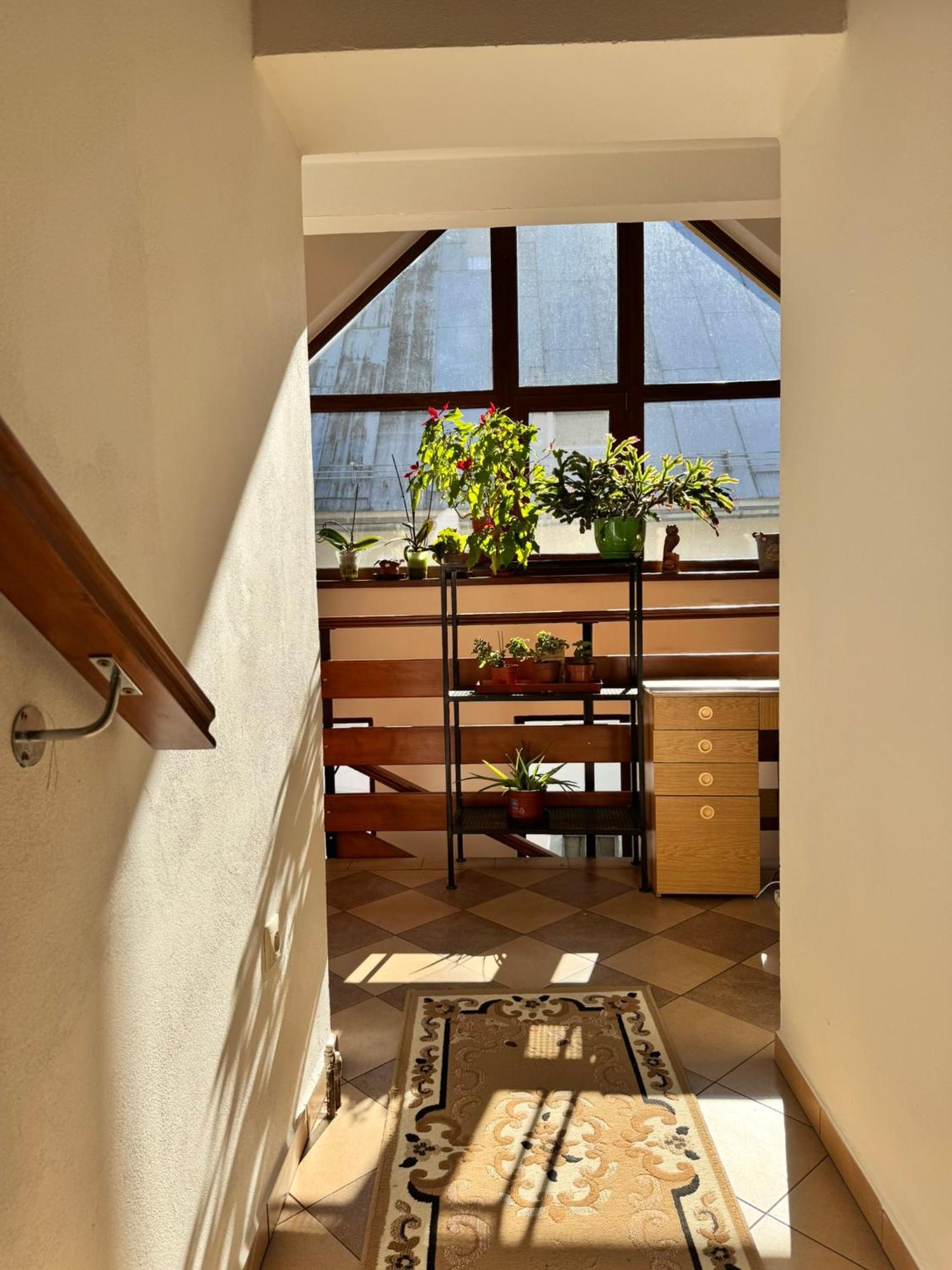 Apartmany Kenka Spisska Stara Ves Esterno foto